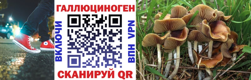 Псилоцибиновые грибы Psilocybe  Ува 